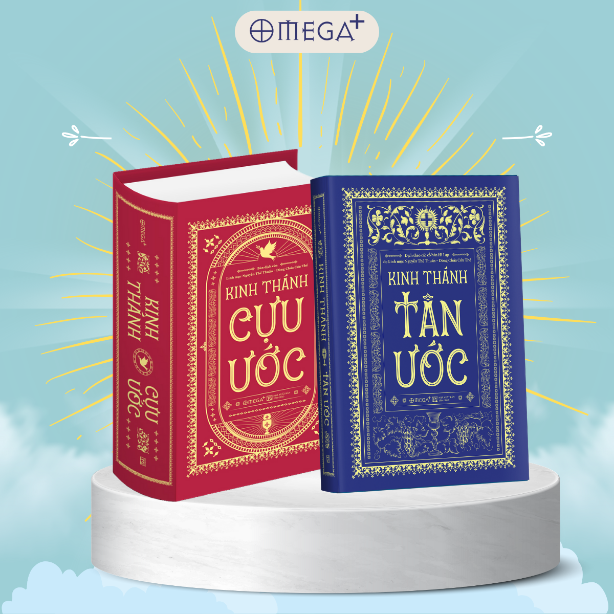 Combo 2 Cuốn KINH THÁNH - CỰU ƯỚC &amp; TÂN ƯỚC - Linh mục Nguyễn Thế Thuấn - Bìa Cứng