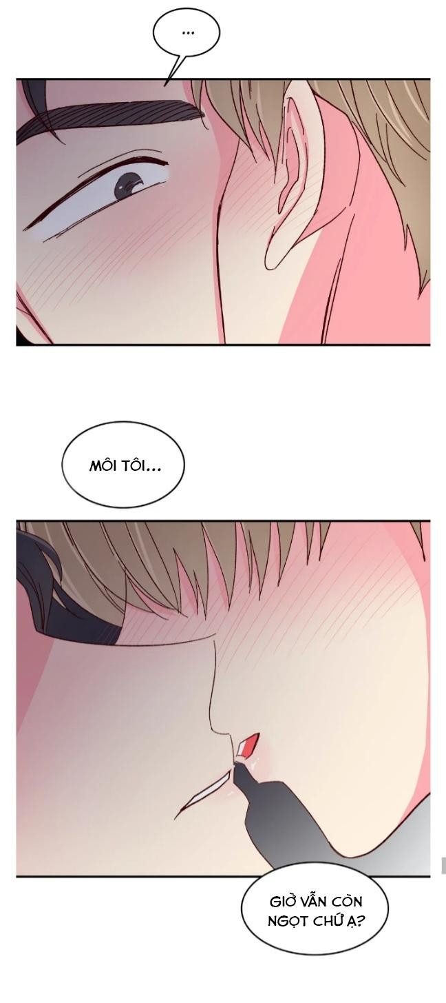 món tráng miệng của sếp tổng chapter 52 35