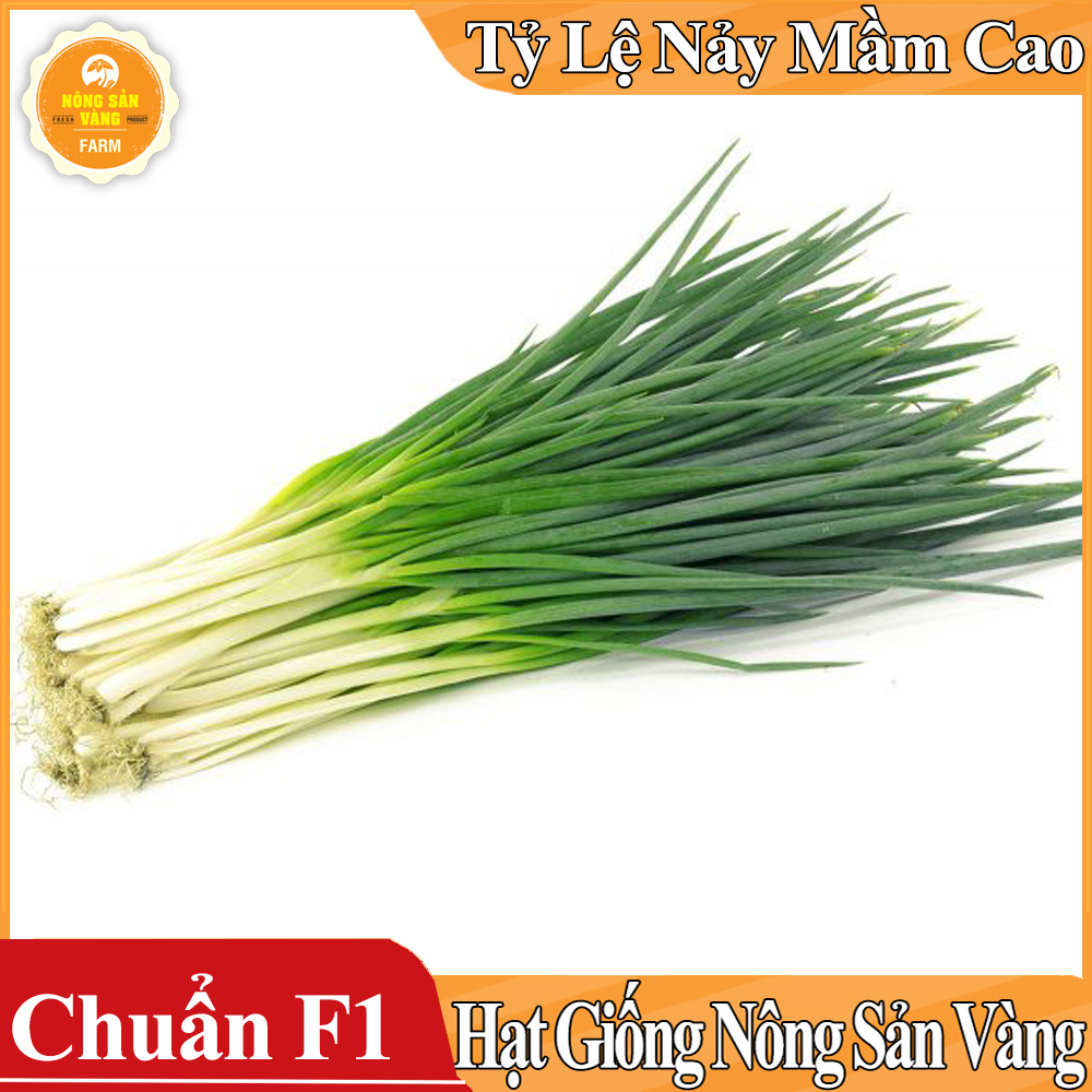 Hạt giống Hành Lá ( Gói 1 Gram ) - Nông Sản Vàng