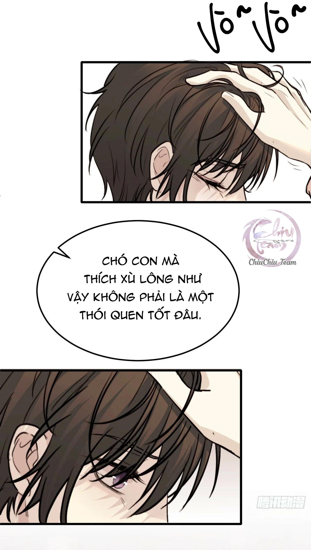 chó hư khó giữ chapter 21 6