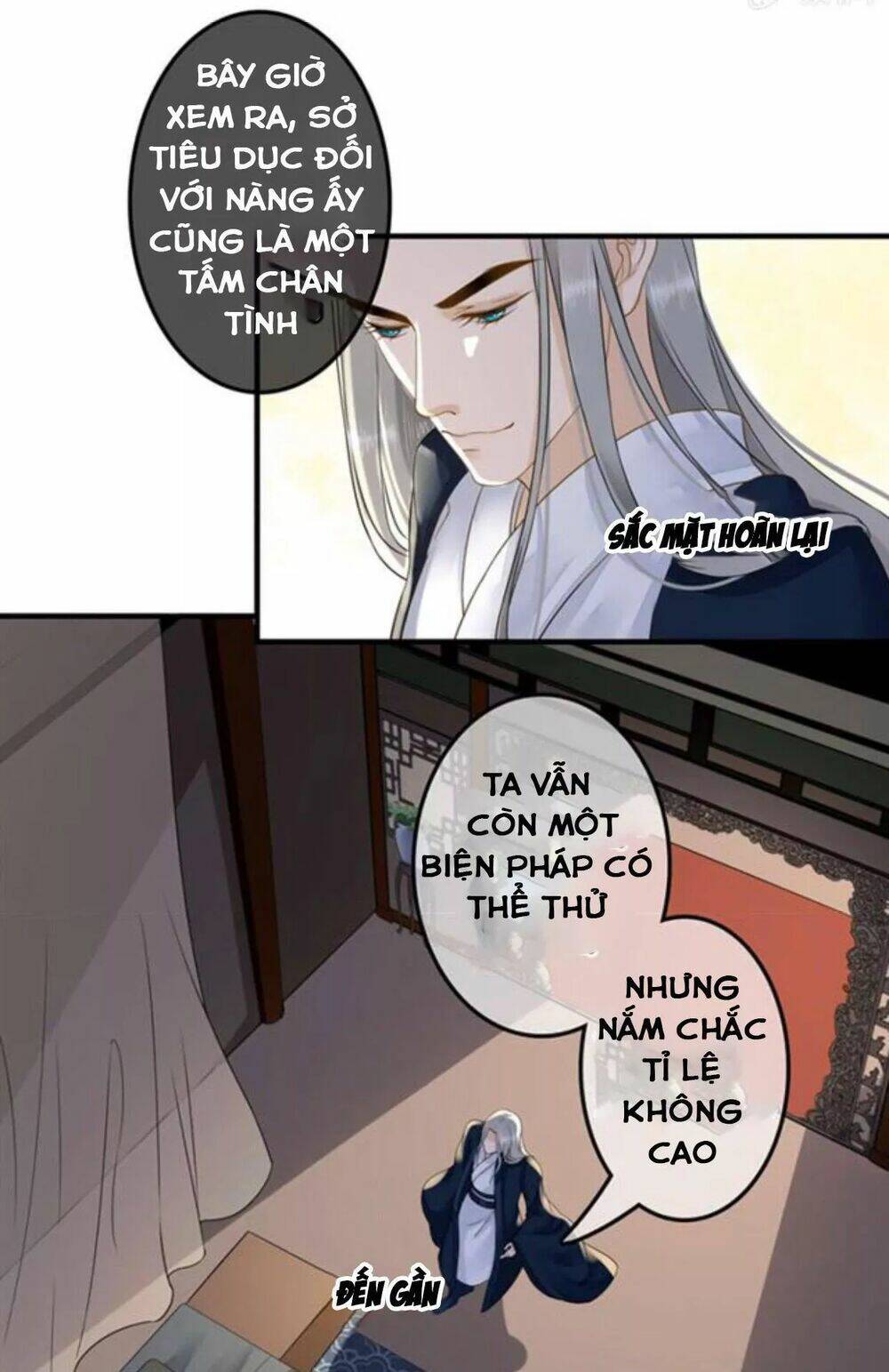 sủng phi của vương chapter 116 3