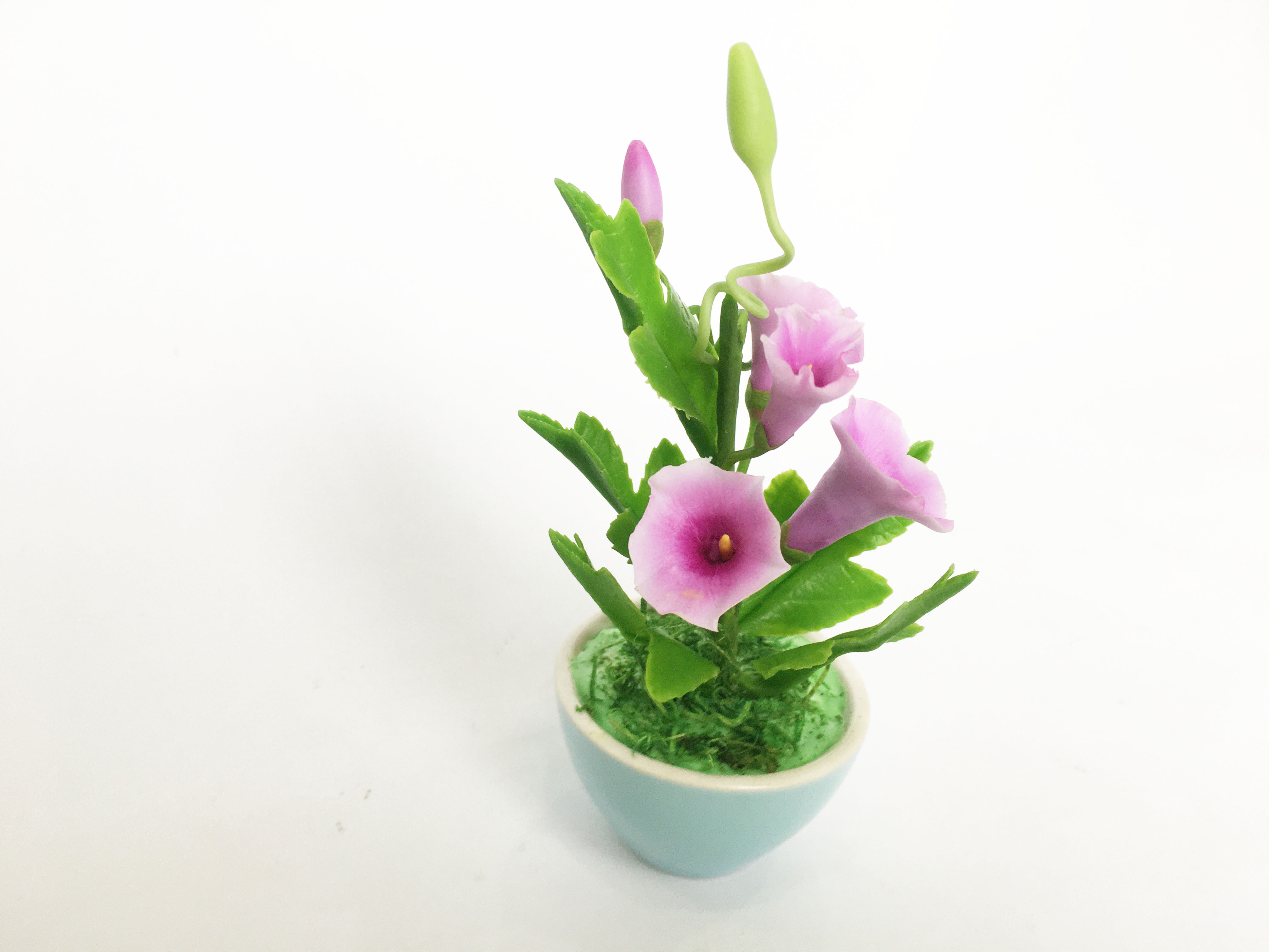 Chậu hoa đất sét mini- Bụi bìm bịp/bìm bìm trong cốc - Quà tặng trang trí handmade