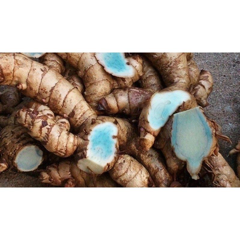 0.5 KG BỘT NGHỆ ĐEN