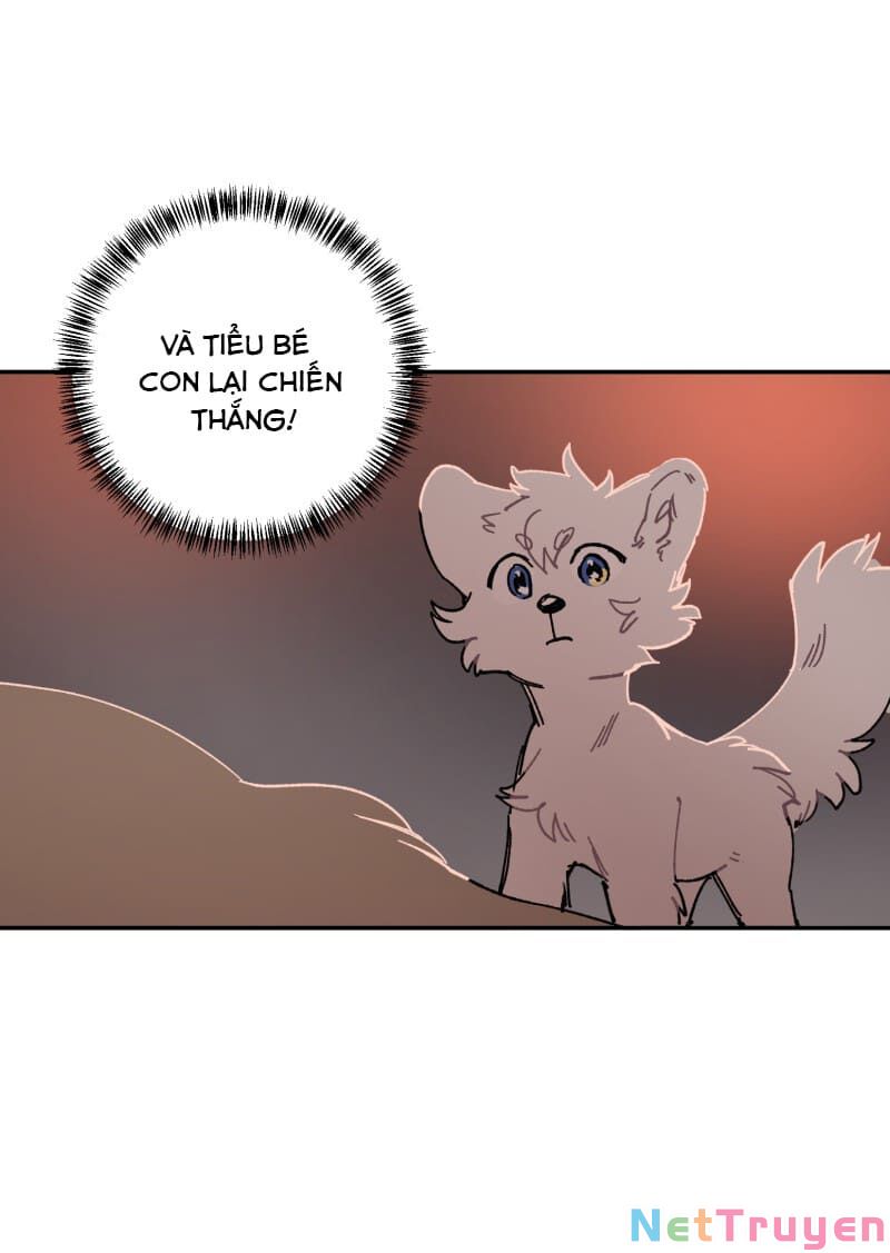 lumine - cội nguồn ánh sáng chapter 108 22