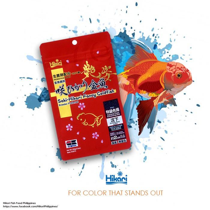 Cám cá vàng Hikari đỏ Goldfish Ex Color siêu tăng màu - thức ăn cá vàng tăng màu Saki Hikari Fancy Goldfish-shopleo