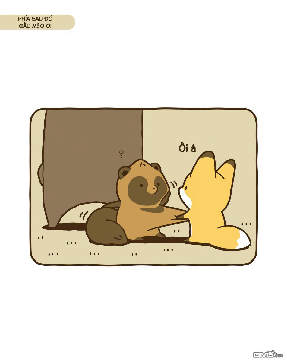 cáo và gấu mèo chapter 11 8