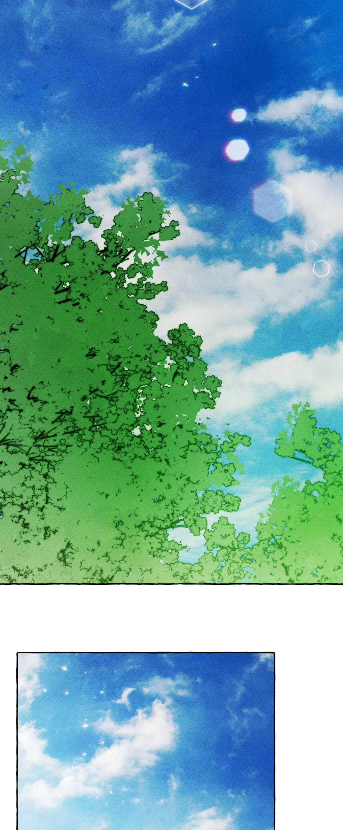 nuôi dưỡng một bé rồng đen chapter 50.2 2