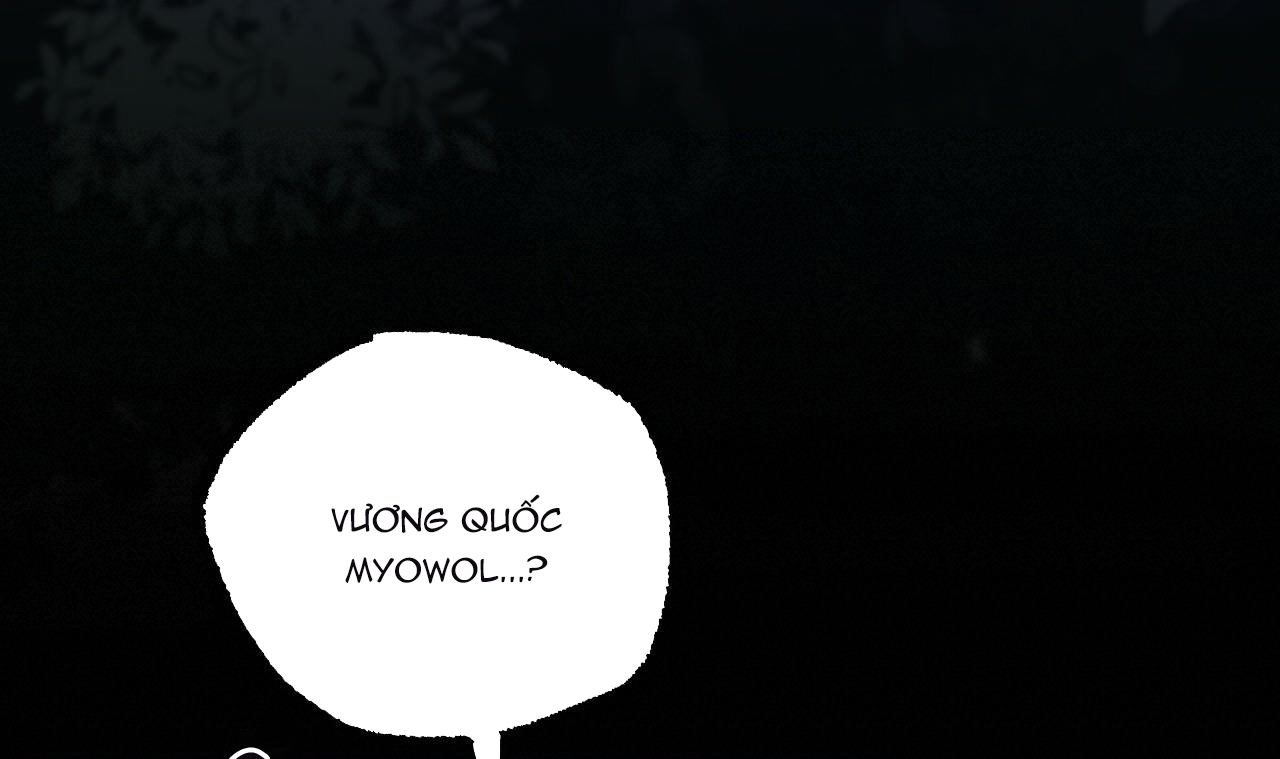 đàn thỏ của habibi chapter 37 67