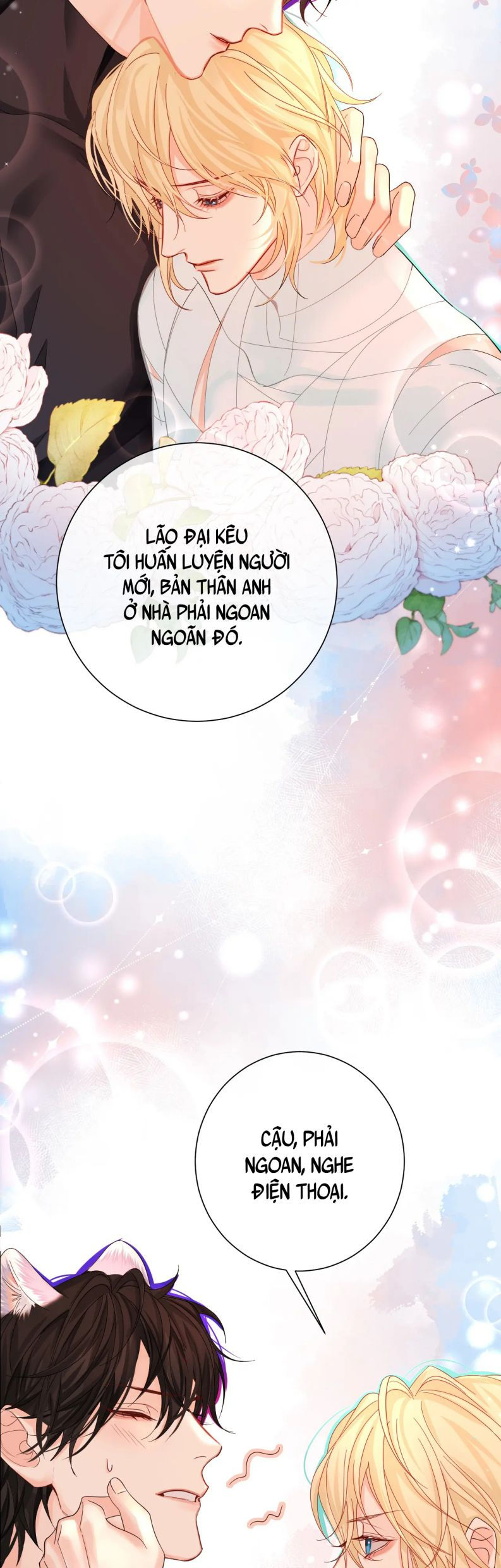 nhân ngư rơi xuống chapter 39 15