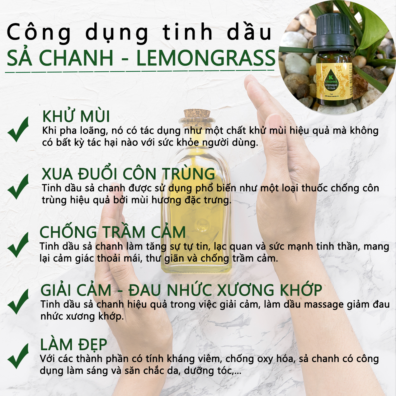 Máy Khuếch Tán Tinh Dầu Bí Ngô 500ml Moedel 4G Tặng 3 Chai Sả Chanh + Bạc Hà + Oải Hương 5ml Nhập Khẩu Nguyên Chất - Máy Xông Tinh Dầu Xông Phòng - Giúp Khuếch Tán Tinh Dầu, Tỏa Hương Tinh Dầu, Tạo Độ Ẩm - Tặng Kèm Remote Điều Khiển - Đèn Led 7 Màu - VÂN