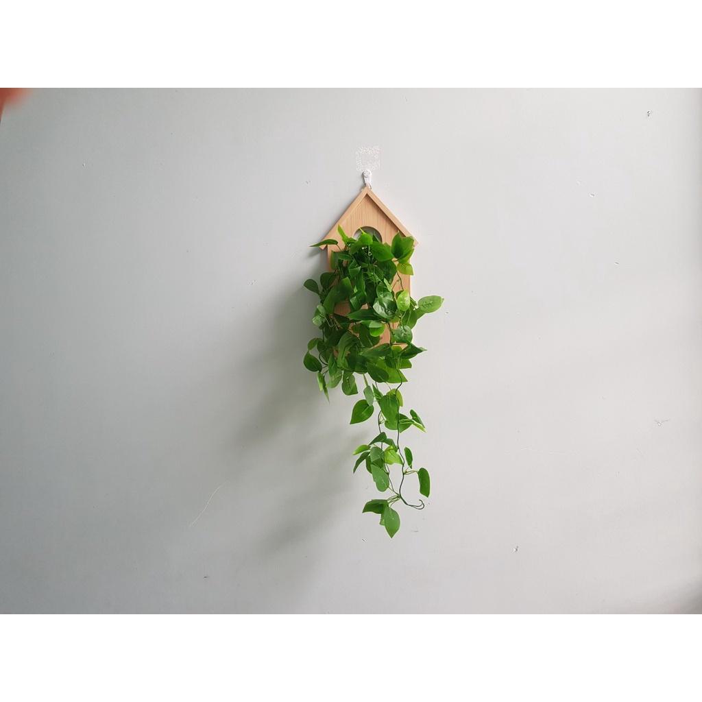 Kệ Gỗ Treo Tường Hình Mái Nhà Độc Đáo Kèm Bình Thuỷ Tinh Cắm Hoa, Trồng Cây Thuỷ Sinh Trang Trí Ban Công