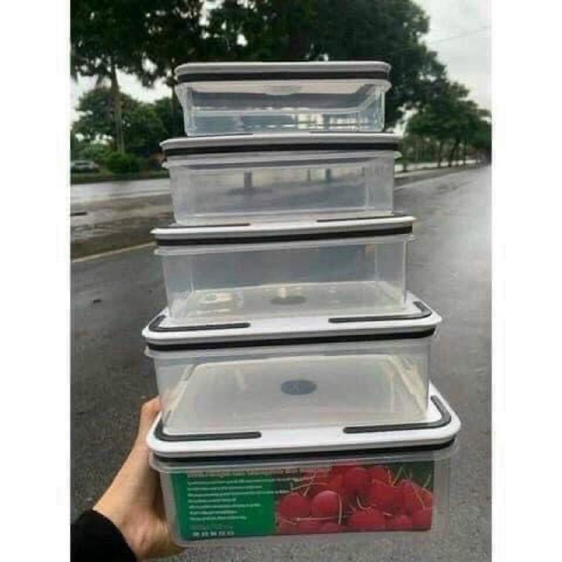 SÉT 5 HỘP NHỰA HÌNH CHỮ NHẬT để tủ lạnh bảo quản đồ ăn