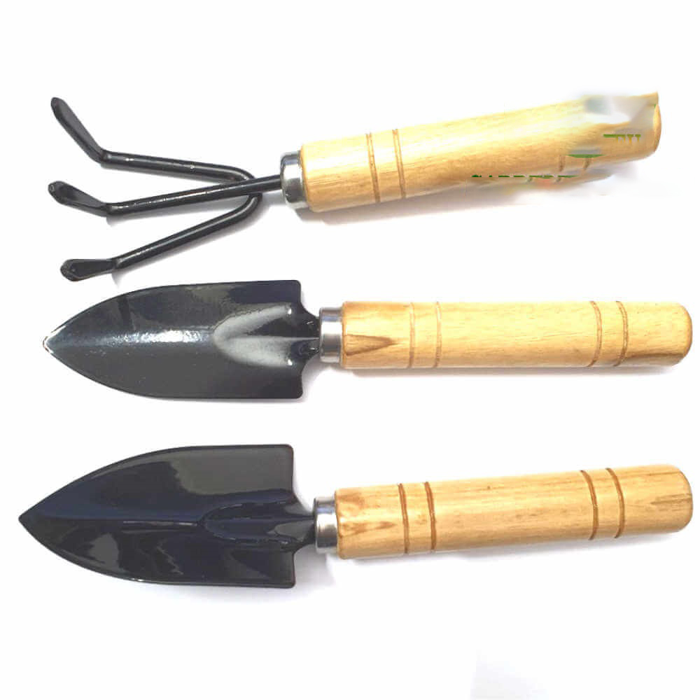 Bộ dụng cụ làm vườn trồng cây mini 3 món tiện dụng