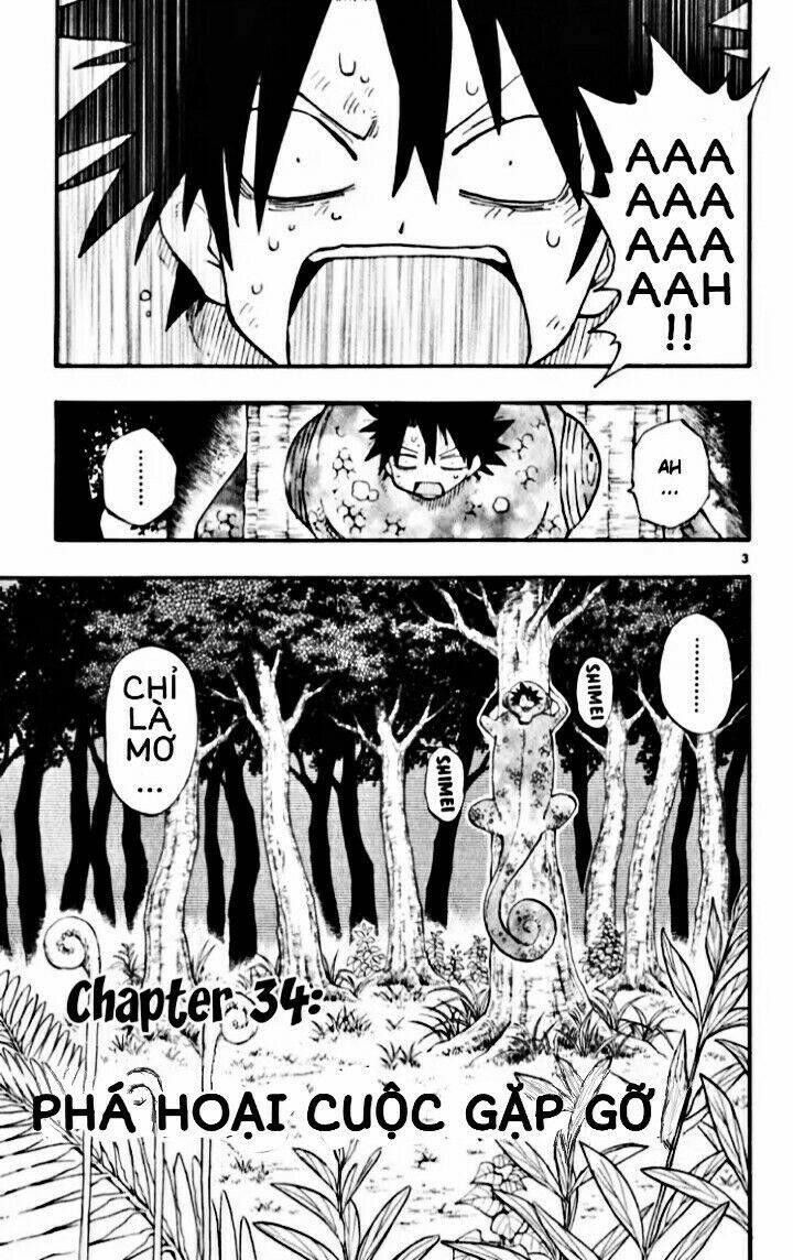 law of ueki plus chapter 34 5