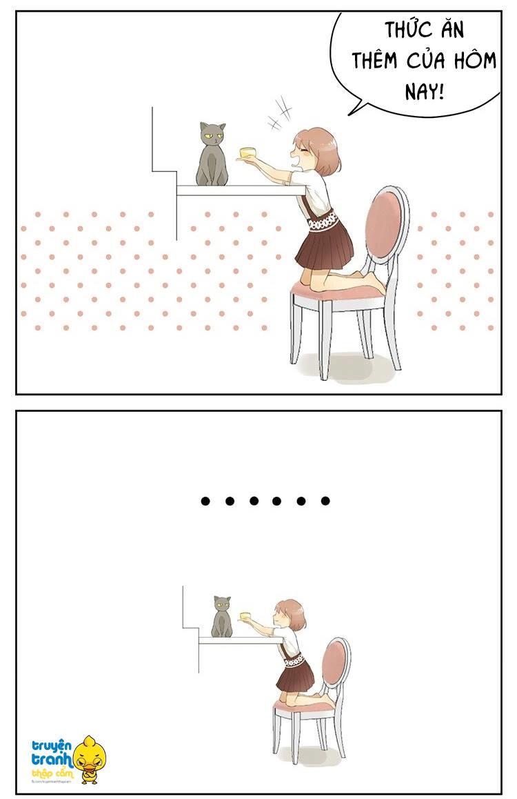 cứu mạng ! loài mèo thống trị thế giới rồi ! chapter 24 12