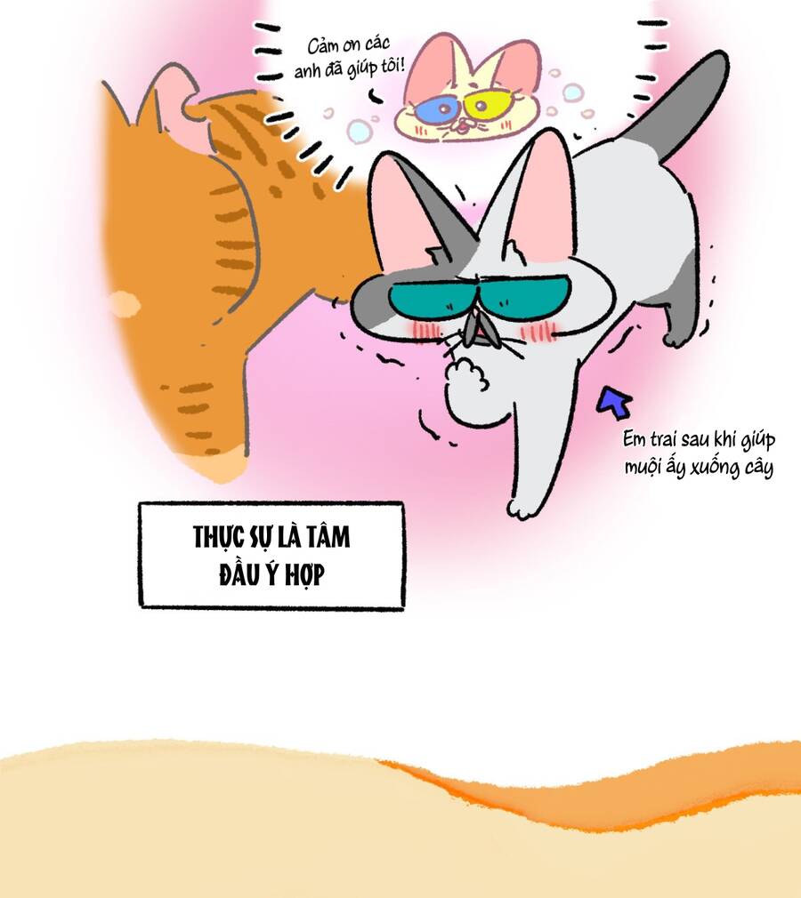 a mãn và mạch trà chapter 172 12