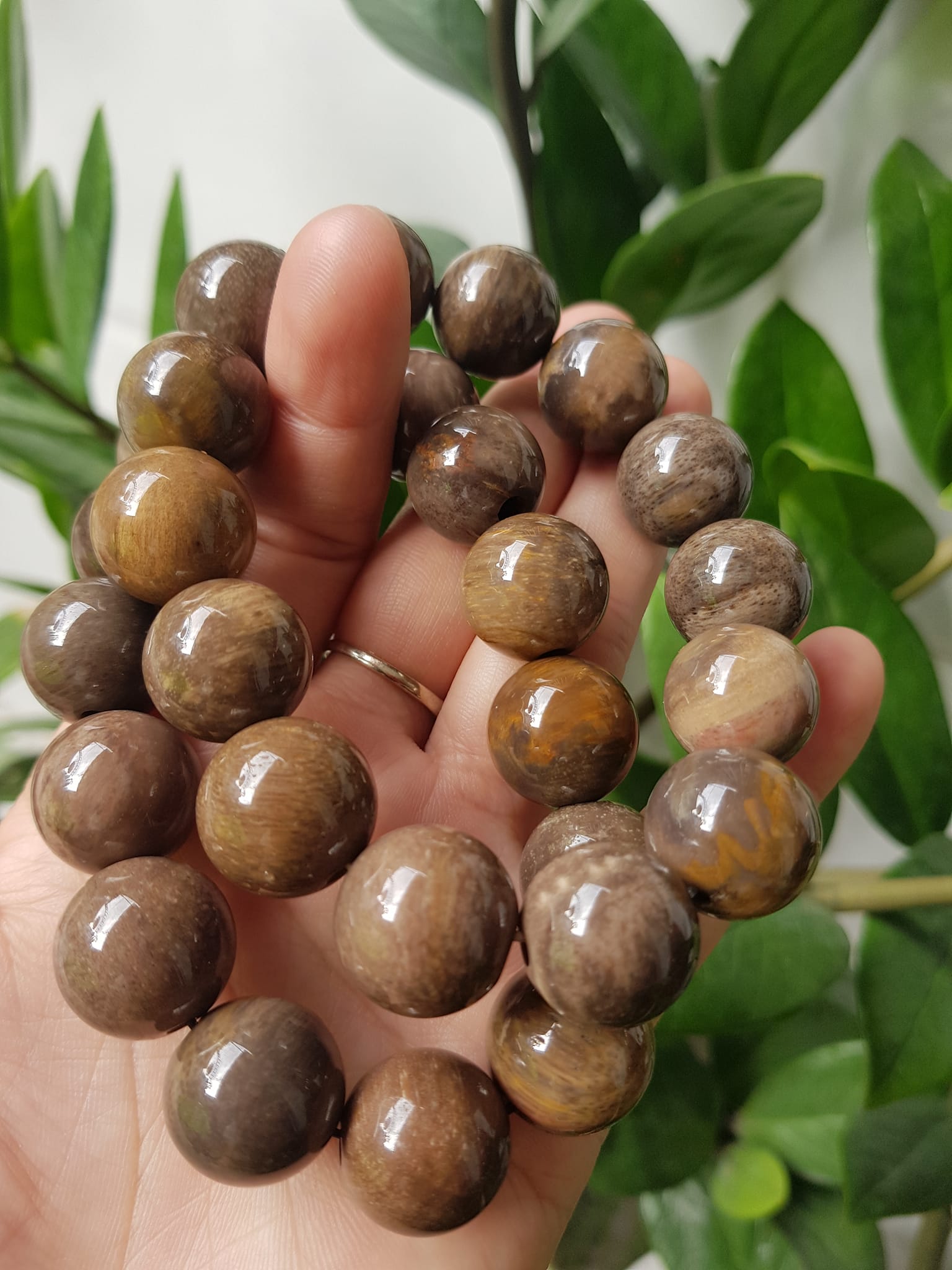 Vòng Gỗ Hóa Thạch Nam 16mm Màu Sáng Bóng Tự nhiên Gỗ Hóa Thạch Đẹp Nam đeo size vòng 16mm sang tay ạ