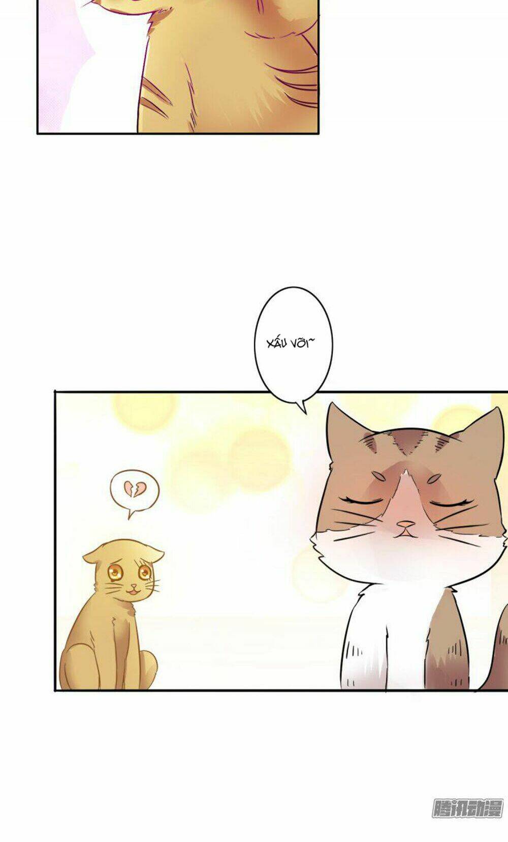 hai chú mèo totem chapter 4 6