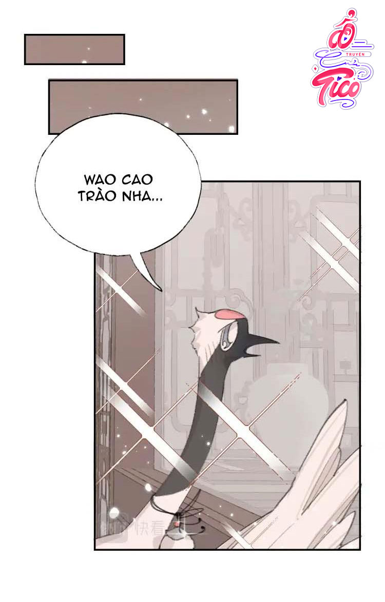 tôi lắng nghe thanh tôn chủ gọi chapter 5 6