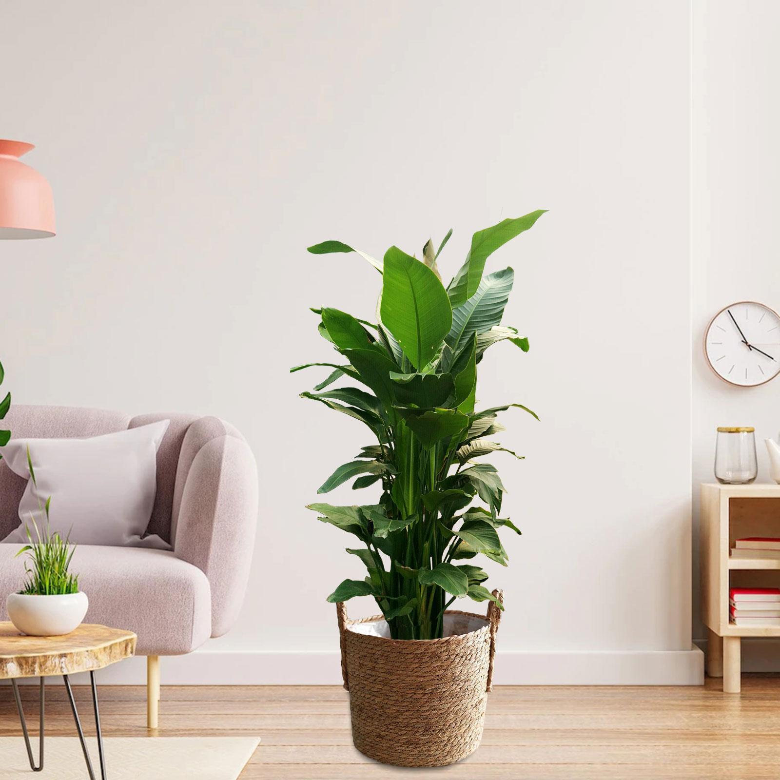 Flower Basket Rustic Storage Bin Candy Basket for Bedroom Living Room