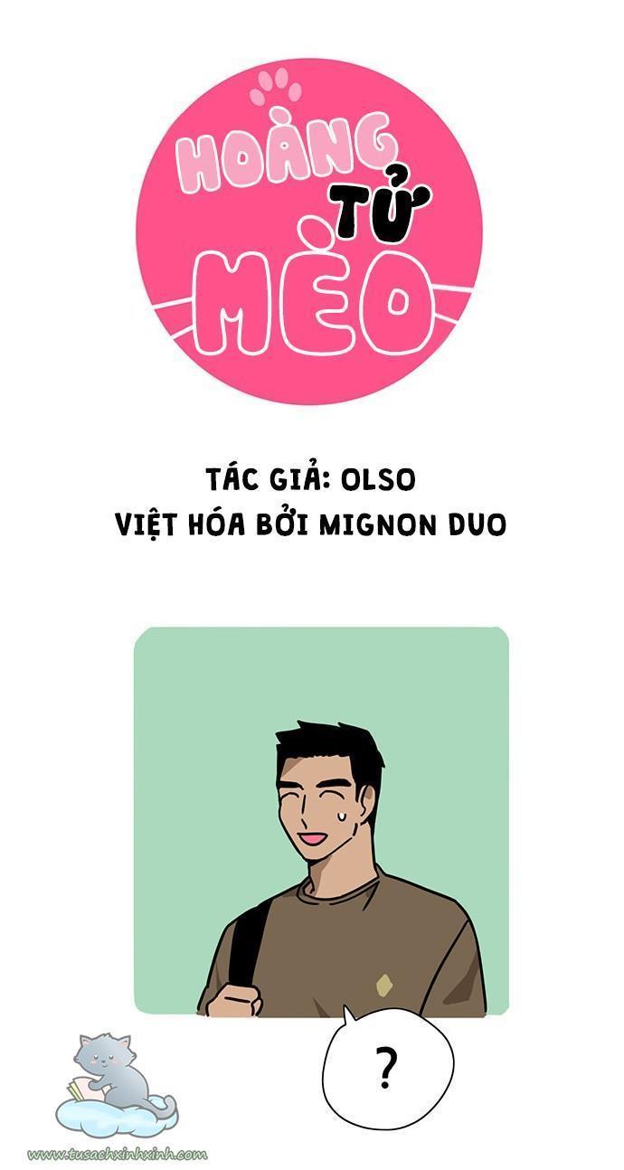 hoàng tử mèo chapter 20 5