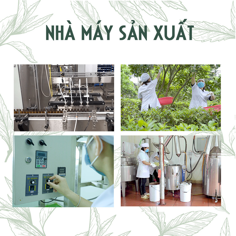 Dung Dịch Rửa Tay Khô Kháng Khuẩn Hương Trà Xanh 50ml