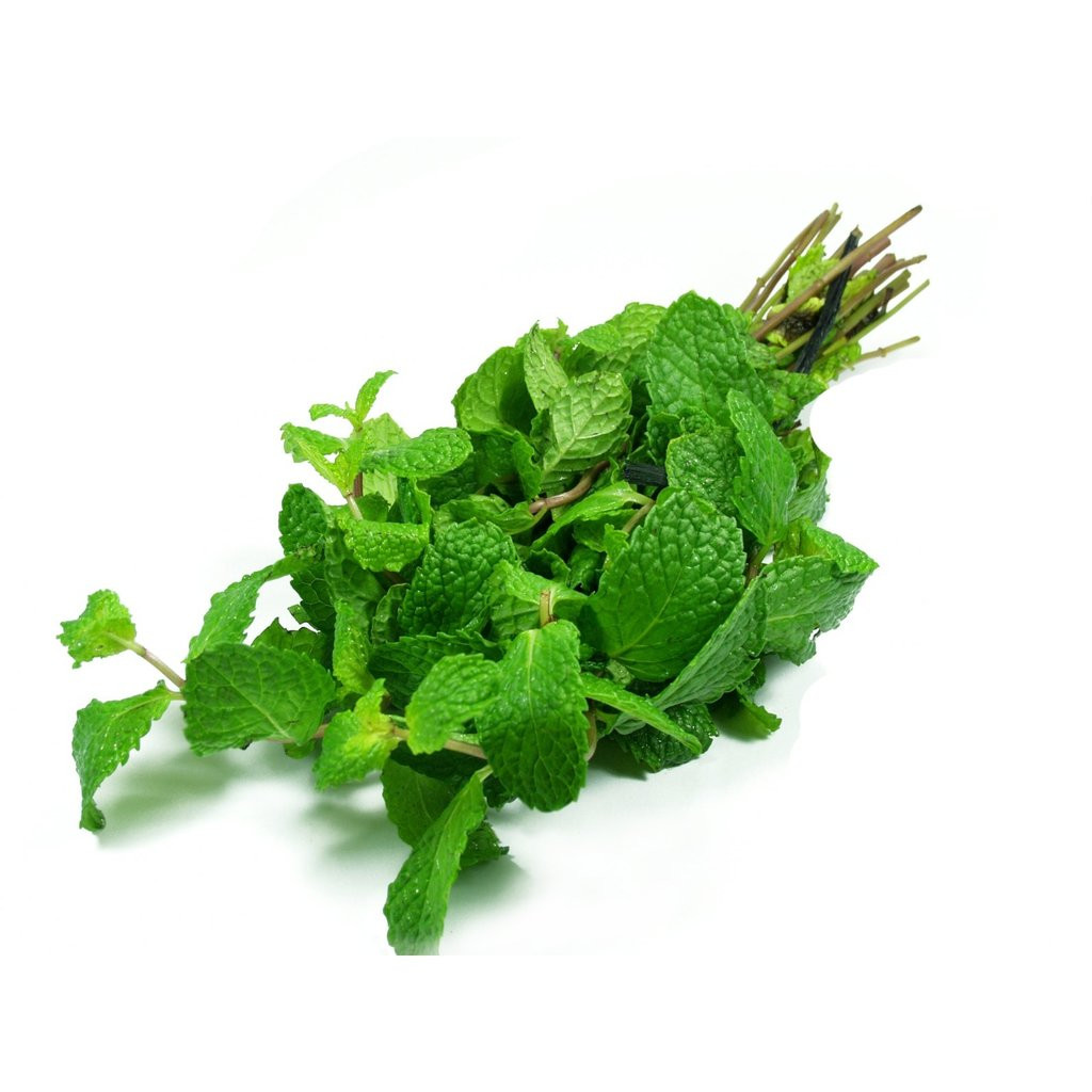 RD hạt giống Húng lủi 931
