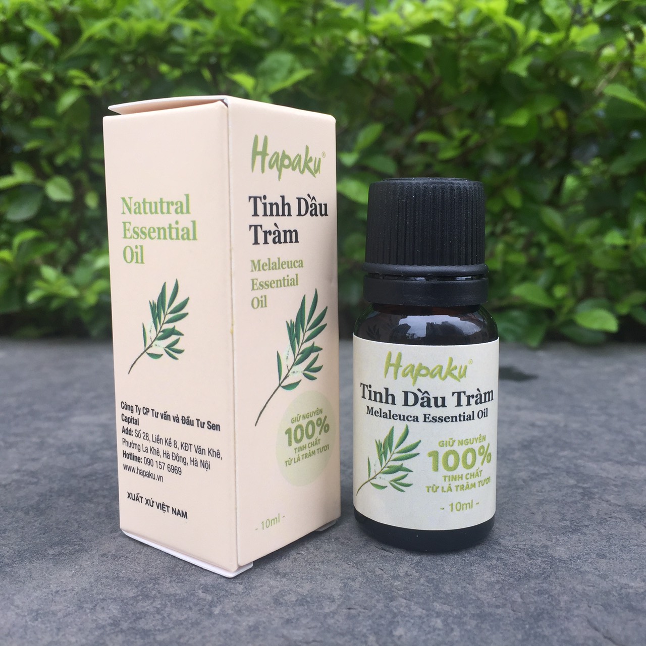 Tinh Dầu Tràm Tự Nhiên Nguyên Chất 10ml Hapaku