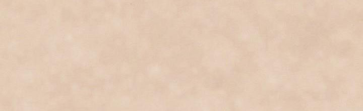 em ấy muốn trở thành chồng của tôi chapter 33.1 341