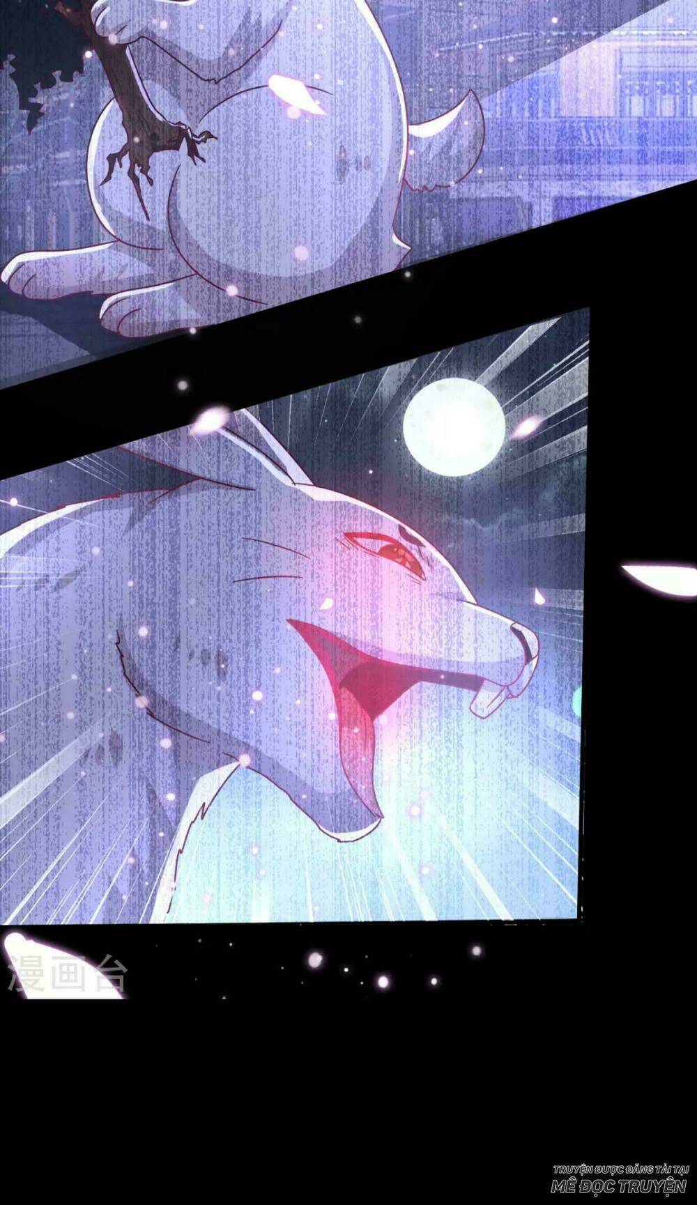 nữ hoàng thú sủng chapter 41 11