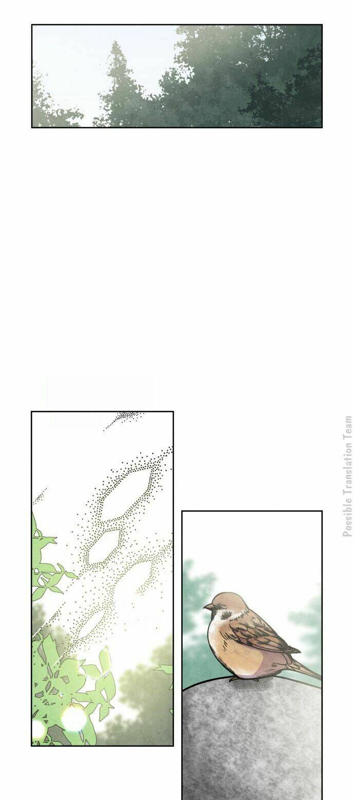 tai sói và mũ đỏ chapter 27 37