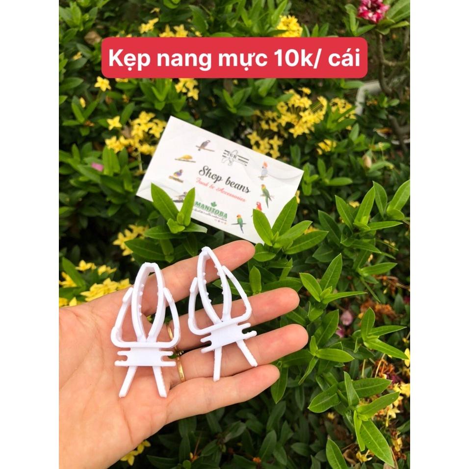 10 cái Kẹp nang mực/ rau củ cho chim ăn