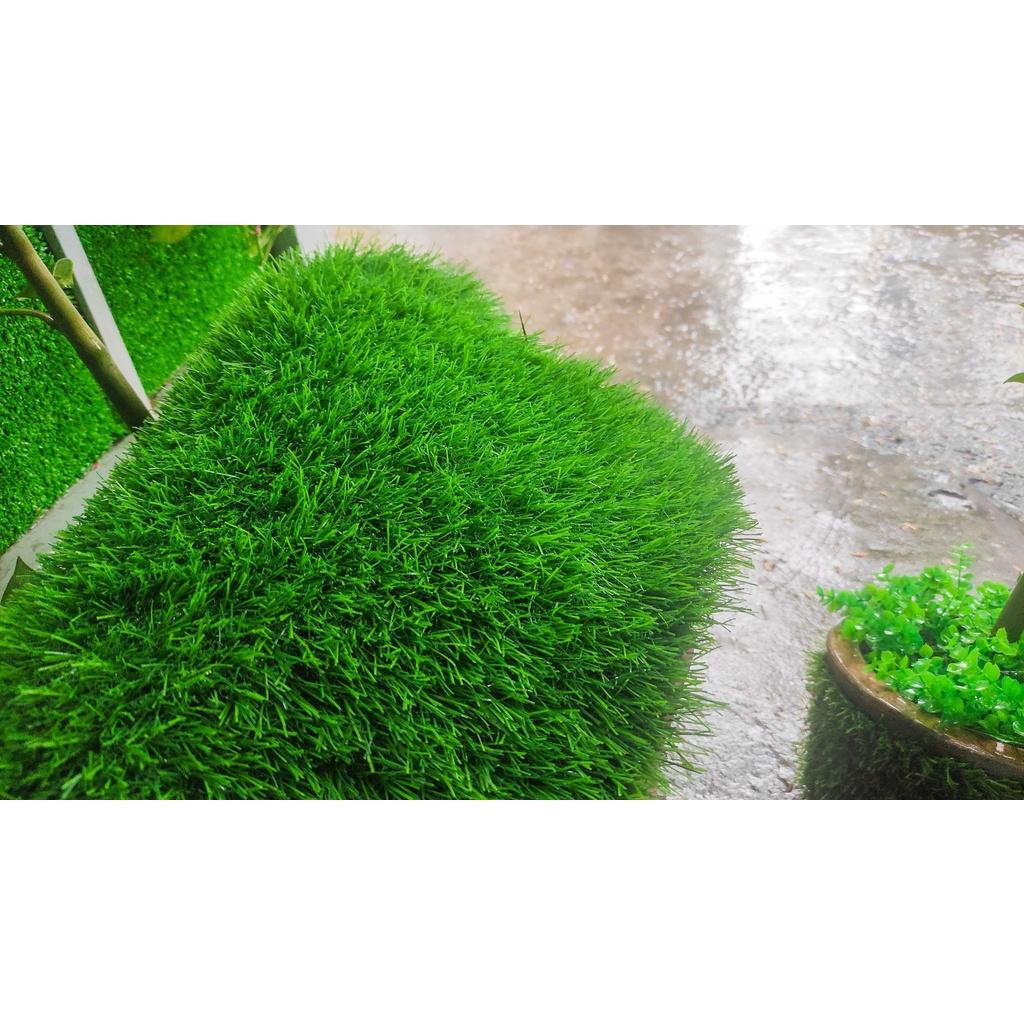 Thảm cỏ nhân tạo giá rẻ, thảm cỏ trang trí, cỏ 3cm loại Cao Cấp