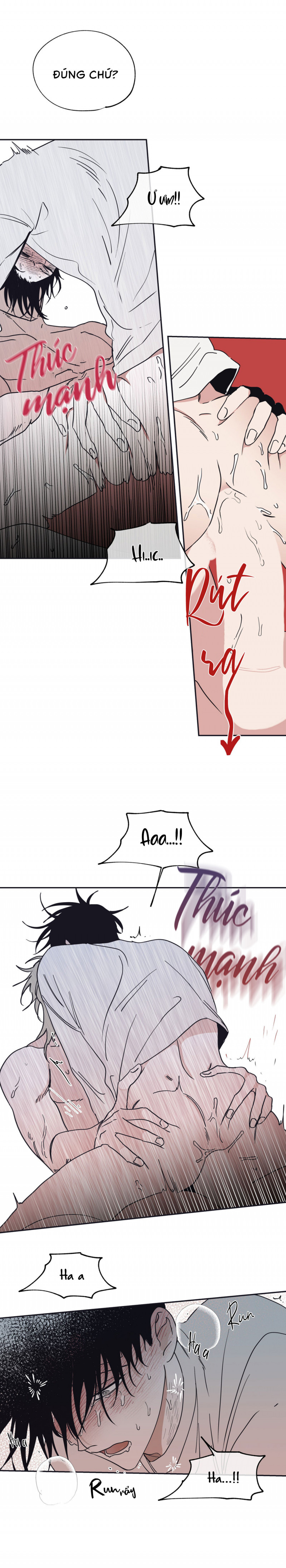 đêm bên bờ biển chapter 12 6