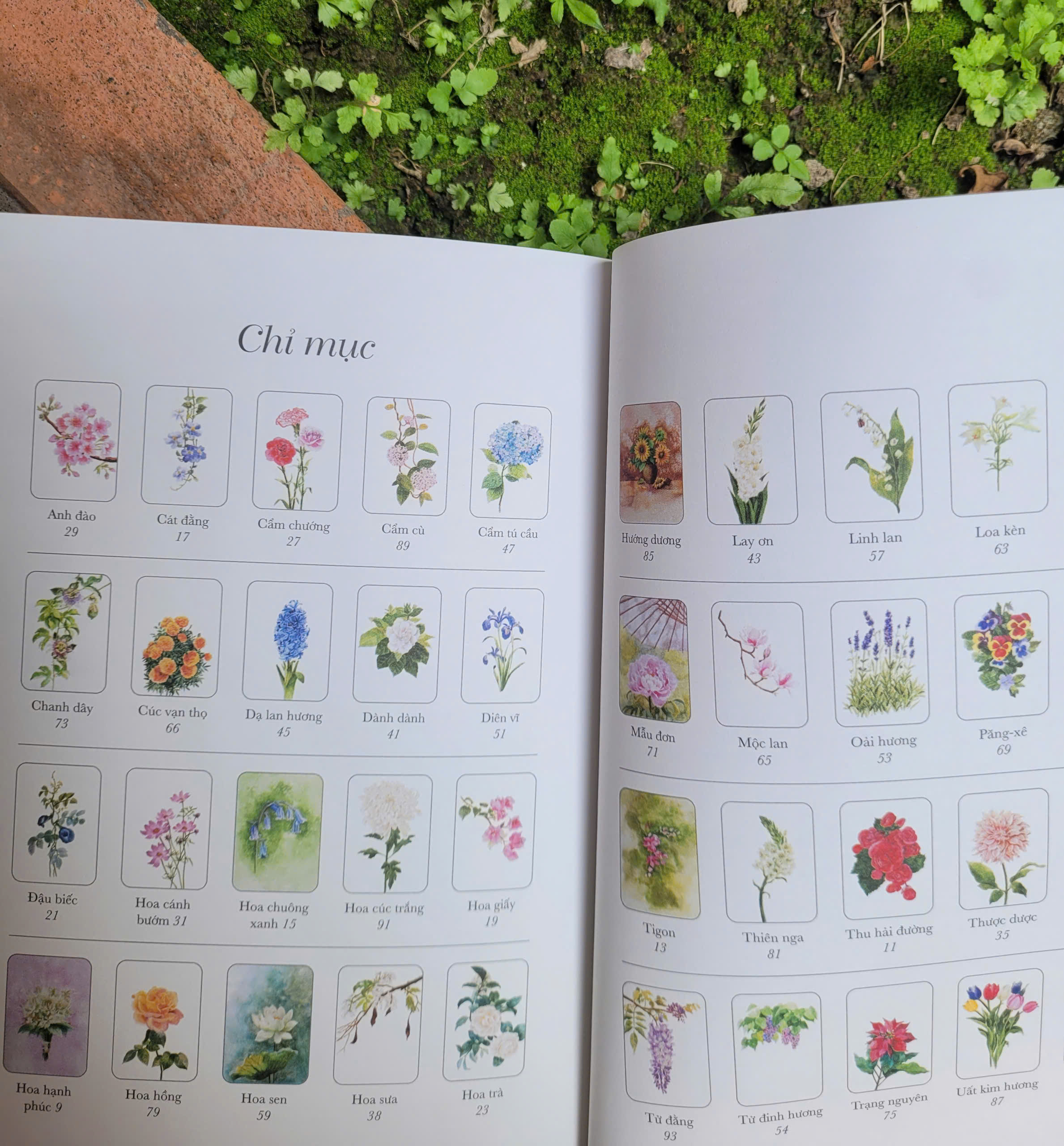 (Tặng Set 5 Postcard Kèm Phong Bì) QUYỀN NĂNG CỦA HOA - Lời thầm thì cảm xúc từ thiên nhiên - Lily Of The Valley - Huyền Anh (hajazana) minh họa - WING BOOKS - NXB Kim Đồng