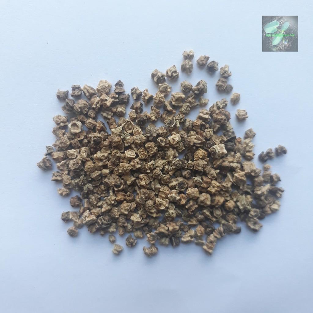 Hạt giống Cải bó xôi, đóng gói 5gr, giàu dinh dưỡng, dễ trồng, ít sâu bệnh