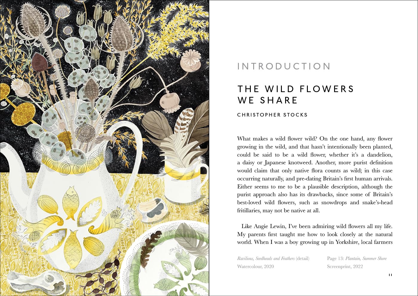 The Book of Wild Flowers : Reflections on Favorite Plants