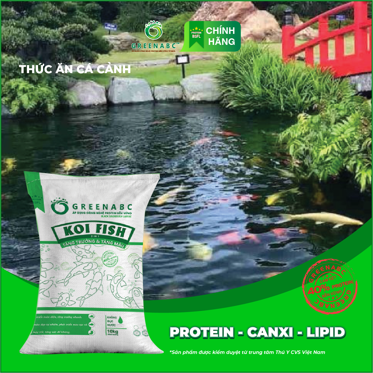 Thức ăn Cá Koi GREENABC - Koi Fish – Hàm lượng protein 40% giúp tăng size, tăng màu, tiêu hóa tốt, tăng đề kháng – Bao 10kg