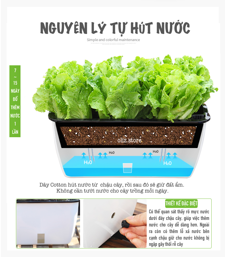 Chậu trồng rau SC0. Chậu trồng rau thông minh tự dưỡng, chậu nhựa trồng cây, chậu trồng hoa