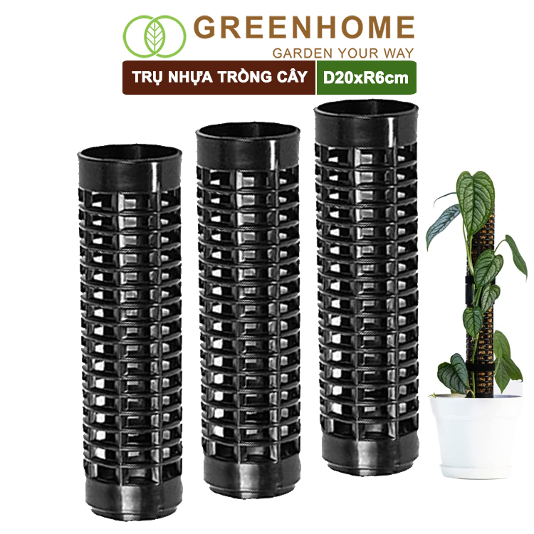 Trụ Nhựa Trồng Cây, D20Xr6Cm, Nhựa Cứng, Có Khớp Dễ Nối Dài, Chuyên Hệ Cây Leo, Trầu Bà, Kiểng Lá Greenhome - 3 Trụ Cây Leo D20Cm