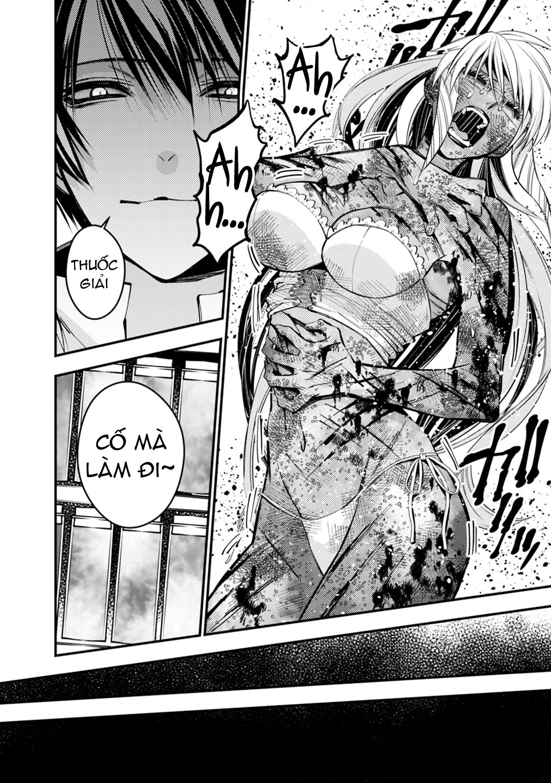 sự trỗi dậy của anh hùng hắc ám chapter 19 12