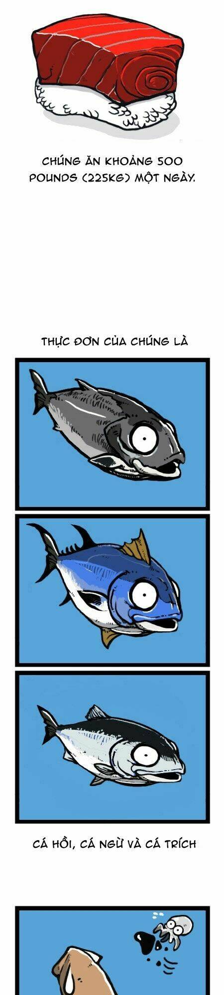 earth, human, and animal chapter 23 16