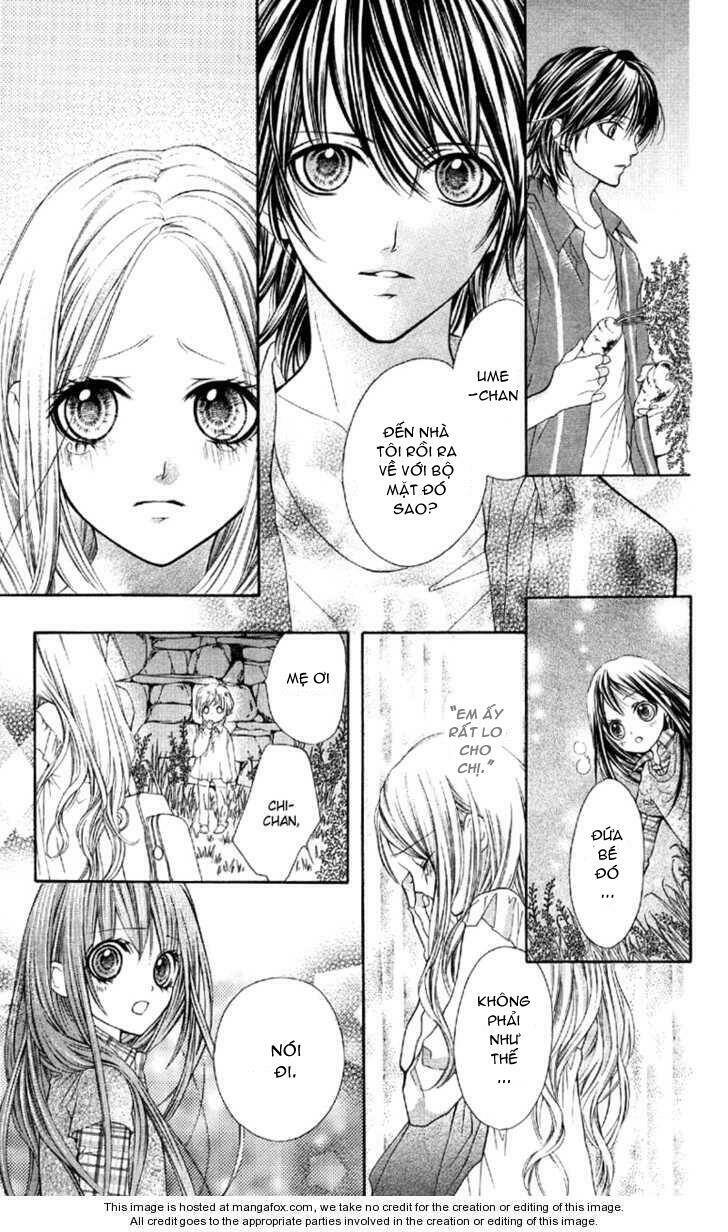 yamamoto zenjirou to moushimasu chapter 6 35