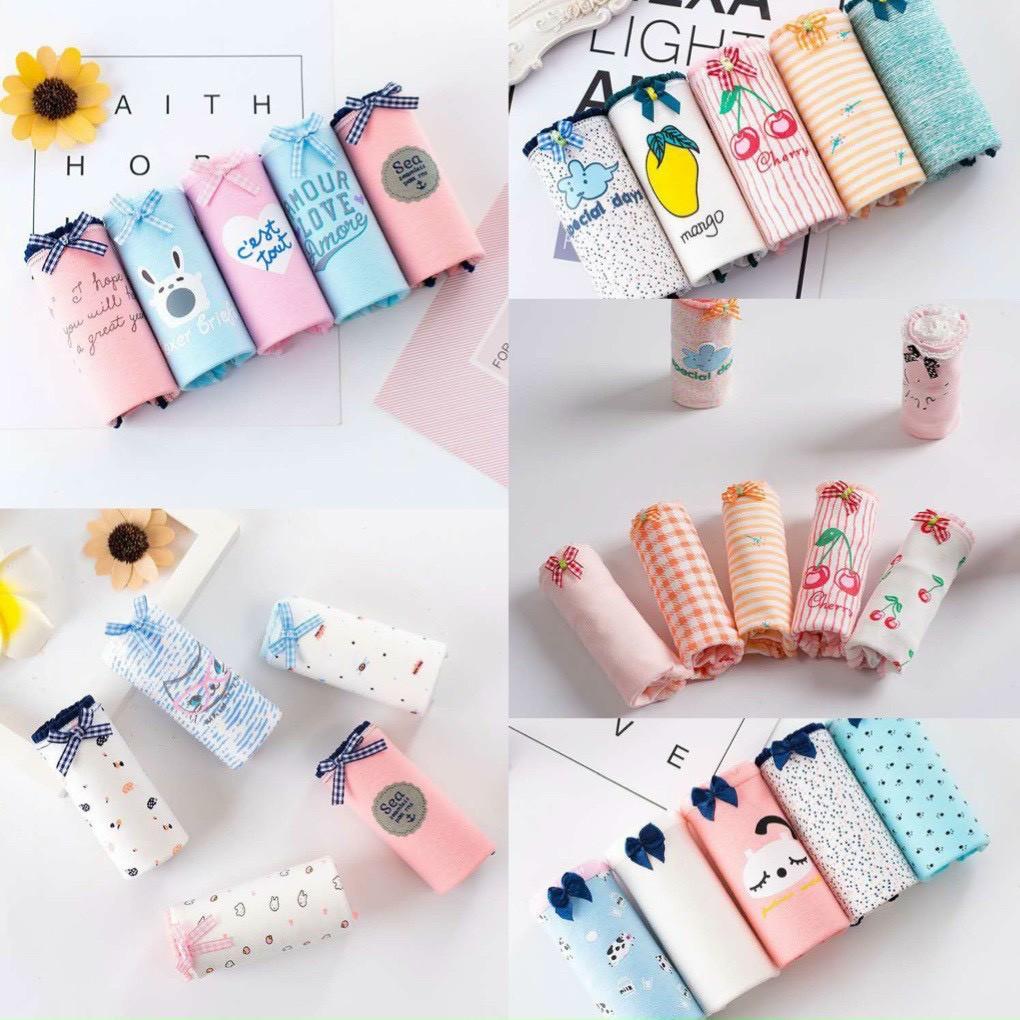 SET 5 Quần Lót Cotton In Hoạ Tiết Dễ Thương