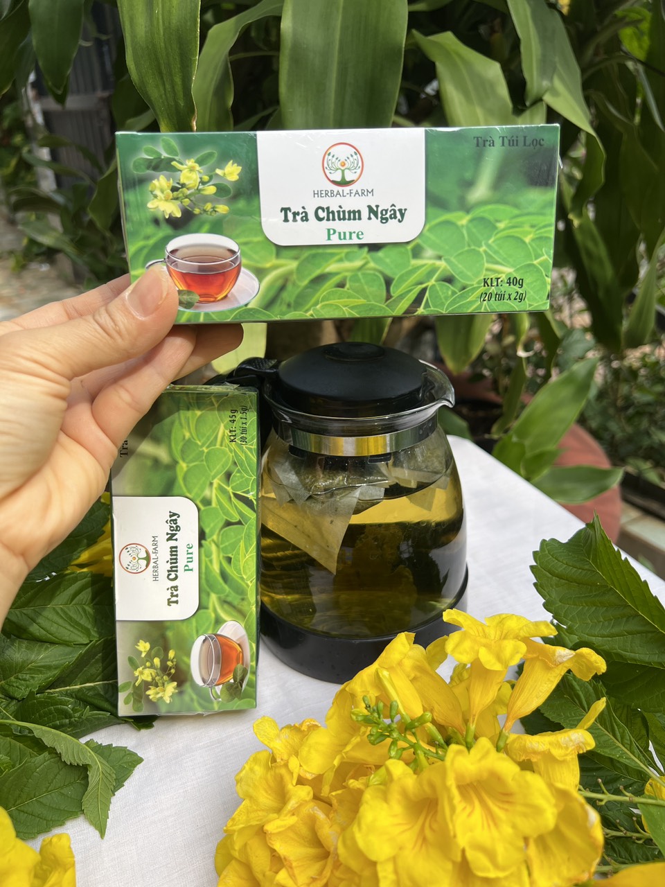 TRÀ CHÙM NGÂY HERBAL FARM TÚI LỌC