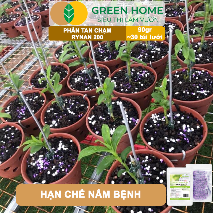 Phân Tan Chậm GreenHome, Rynan 200, Bao 90gr ~ 30 Túi Lưới 3gr, Dành Cho Giai Đoạn Phong Lan Cây Con