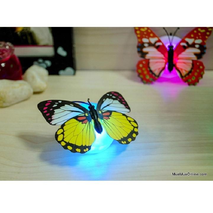 ĐÈN LED DÁN TƯỜNG | ĐÈN LED TRANG TRÍ | ĐÈN LED HÌNH BƯƠM BƯỚM