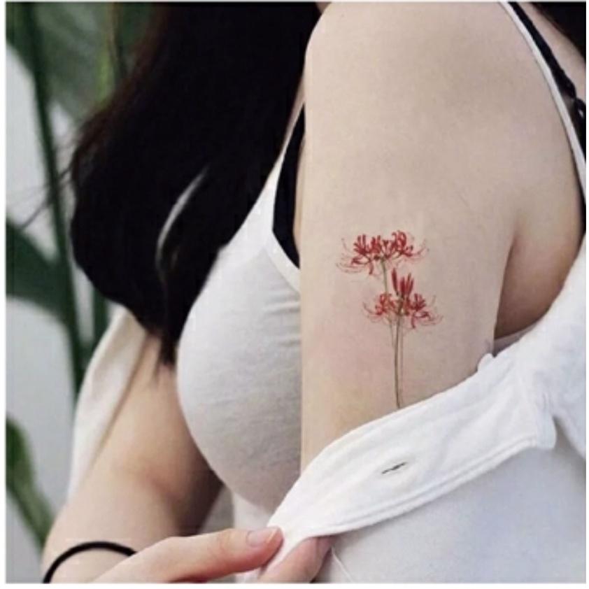 Hình xăm dán hoa bỉ ngạn đỏ 10x6cm