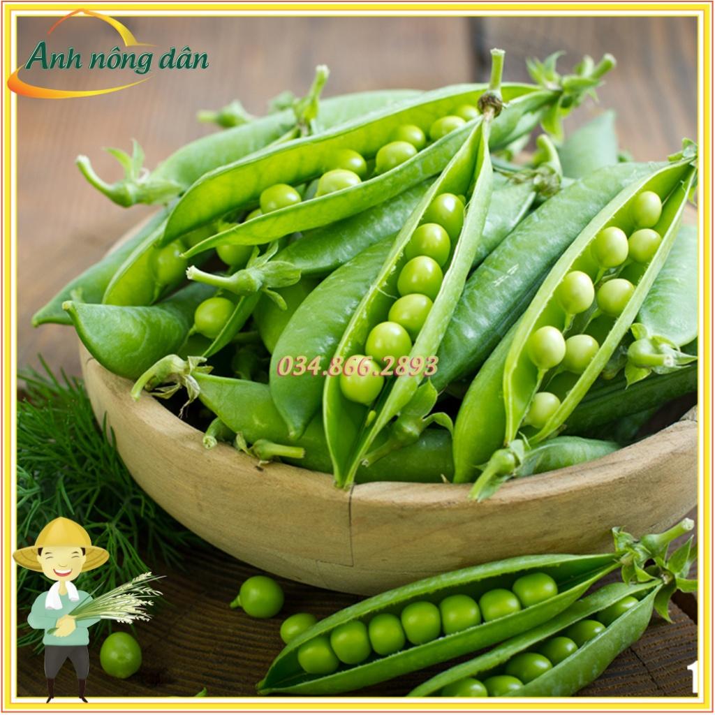 Gói 50gr Hạt giống đậu Hà Lan siêu trái, dễ trồng, dễ chăm sóc - Anh nông dân chính hiệu