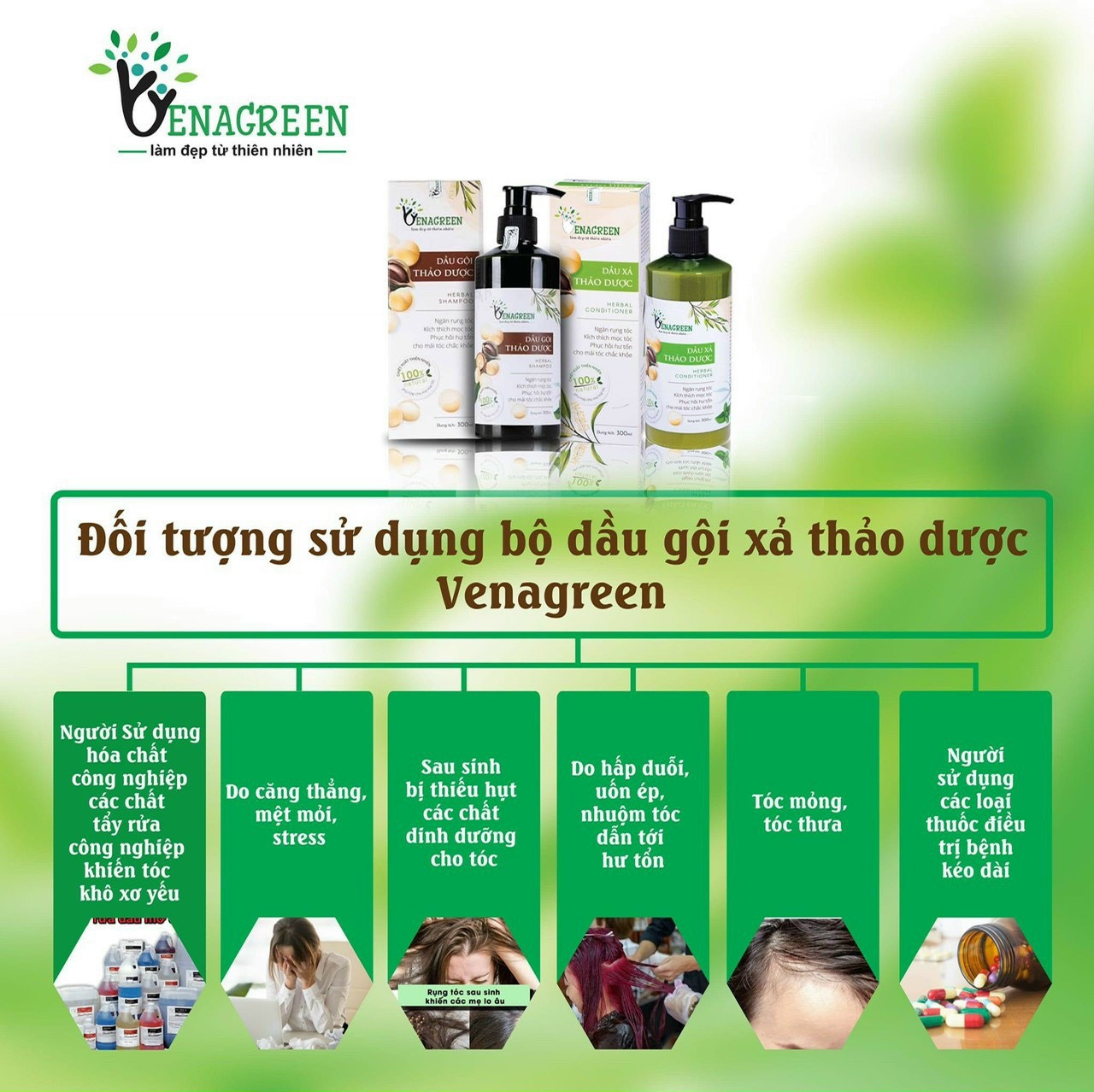 Cặp dầu gội xả thảo dược 300ml VENAGREEN chống xơ tóc, rụng tóc, chăm sóc tóc hư tổn